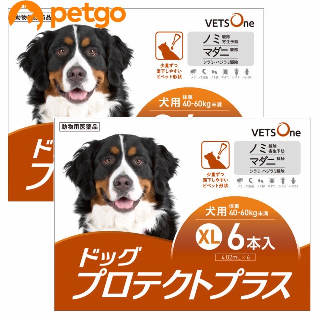 セール30 Off 2箱セット ベッツワン ドッグプロテクトプラス 犬用 Xl