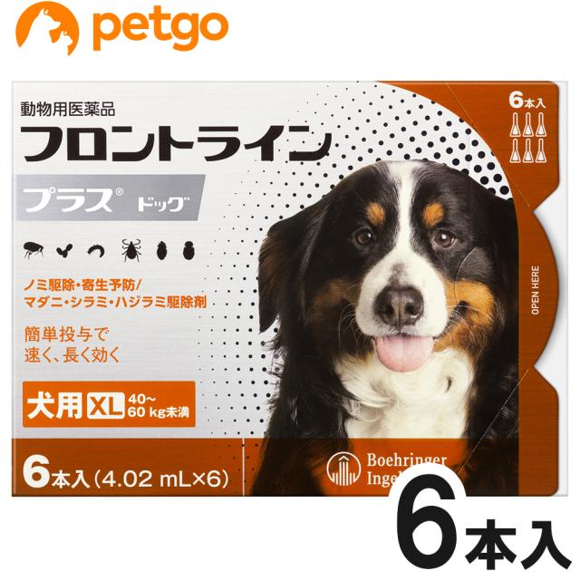 目玉商品 犬用フロントラインプラスドッグxl 40kg 60kg 6本 6ピペット 動物用医薬品 取寄品 Www Centrodeladultomayor Com Uy