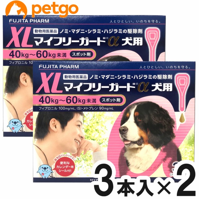 最安値 2箱セット マイフリーガードa 犬用 Xl 40 60kg 3本 動物用医薬品 絶対的存在へ 手放せない極上 Centrodeladultomayor Com Uy