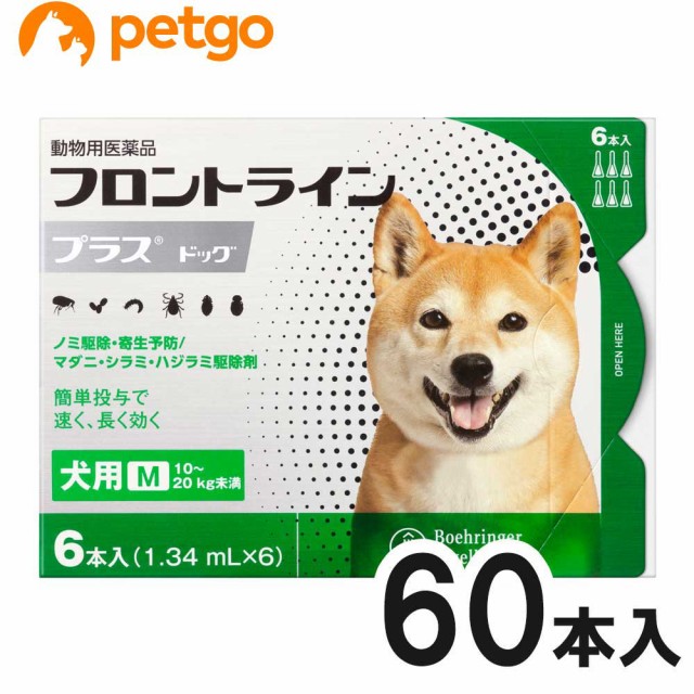 本物 10箱セット 犬用フロントラインプラスドッグm 10kg kg 6本 6ピペット 動物用医薬品