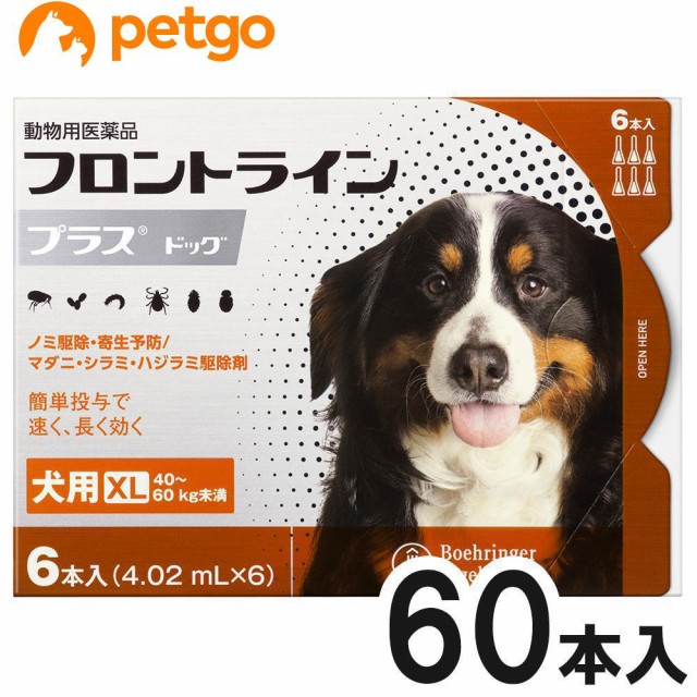 定番の冬ギフト 10箱セット 犬用フロントラインプラスドッグxl 6本 6ピペット 動物用医薬品 40kg 60kg ノミ ダニ駆除 Revuemusicaleoicrm Org