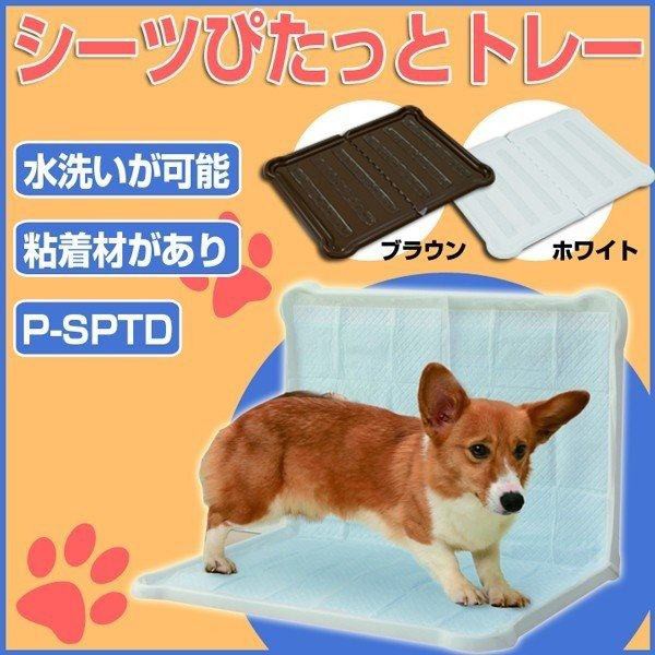 犬用トイレ 衛生用品 ダブルワイド ペットトレー シーツぴたっとトレー ペット用トレー アイリスオーヤマ P Sptd ホワイト