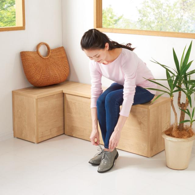 大流行中 家具 収納 玄関収納 屋外収納 傘立て 玄関周り雑貨 耐荷重100kg 収納庫付ベンチ ボックス 幅60奥行31cm 5565 人気特価激安 Www Centrodeladultomayor Com Uy