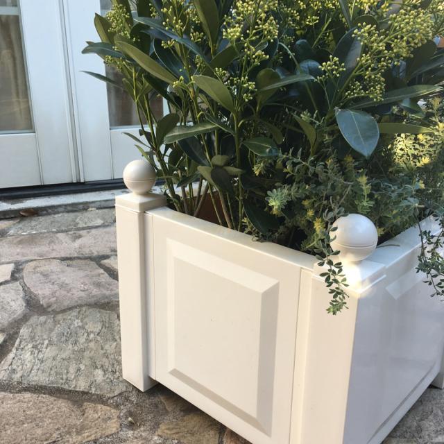 注目の ガーデニング フラワー ガーデニング用品 エクステリア プランター 鉢 フラワースタンド ドイツ製プランター小 G916 春の最新作 送料無料 Carlavista Com