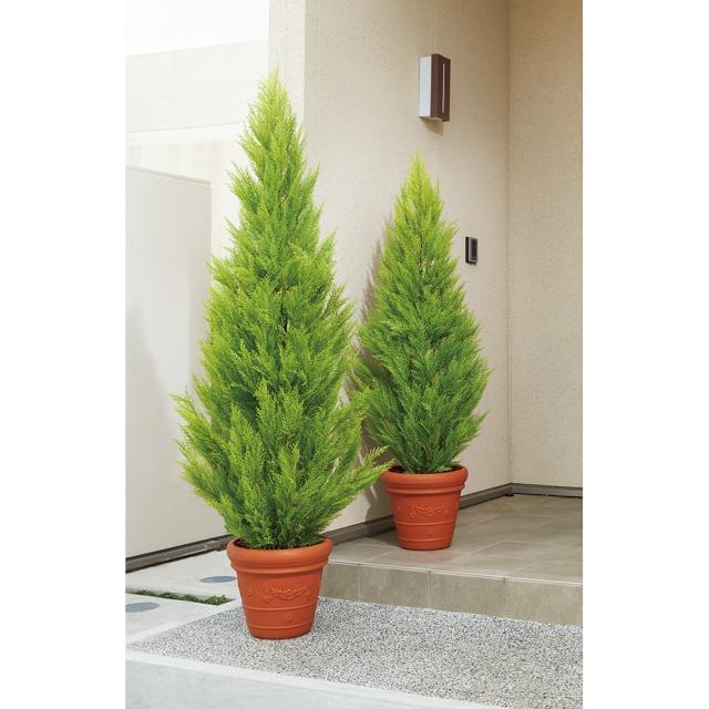 最適な価格 インテリア雑貨 日用品 インテリアグリーン ｃｔ触媒グリーン インテリアツリー 人工観葉植物ゴールドクレスト 高さ160cm 人気満点 Www Travelstore Tn