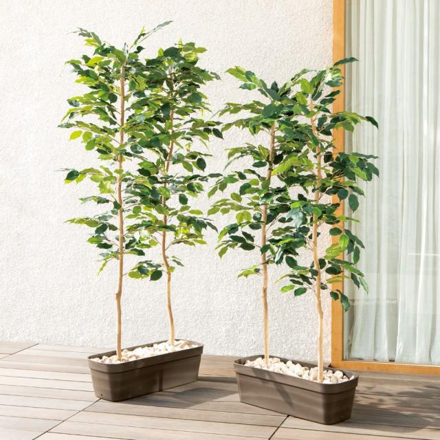 22福袋 ガーデニング 目隠しフェイクベンジャミン フラワー 目隠しフェイクベンジャミン G 高さ180cm エクステリア ガーデニンググッズ 高さ180cm ガーデニング用品 ガーデニンググッズ 大阪購入