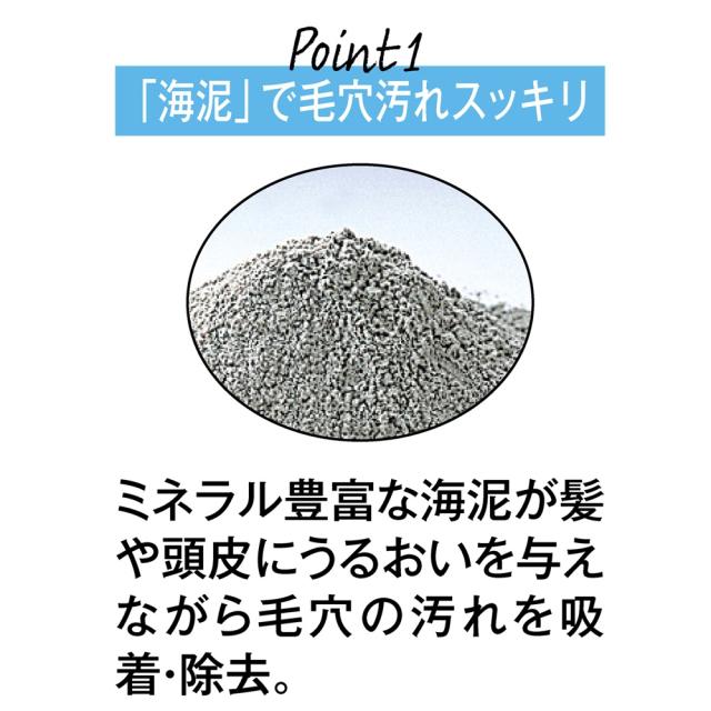 還元祭 美容 健康 ダイエット ヘアケア シャンプー トリートメント 海泥マッドテラピー ディノス50周年特別セット C 日本公式品 Carlavista Com