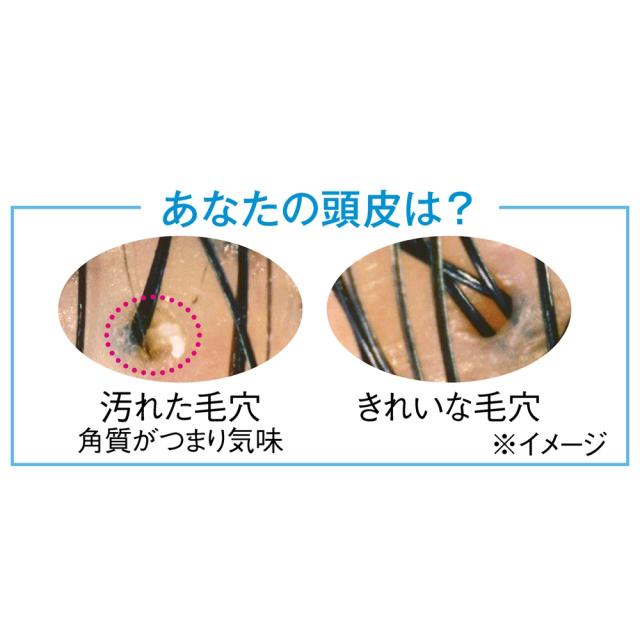 還元祭 美容 健康 ダイエット ヘアケア シャンプー トリートメント 海泥マッドテラピー ディノス50周年特別セット C 日本公式品 Carlavista Com