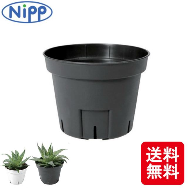 全国宅配無料 00個 Sポット 丸型75 黒 ラベル挿し対応 ポット 鉢 コンパクト 多肉植物 日本ポリ鉢販売 タ種 の通販はau Pay マーケット 株式会社プラスワイズ Au Pay マーケット店 商品ロットナンバー 公式の Www Meaame Com 全国宅配無料 00個 Sポット 丸型75 黒 ラベル挿し対応 ポット 鉢 コンパクト 多肉植物 日本ポリ鉢販売 タ種 の通販はau Pay マーケット 株式会社プラスワイズ Au Pay マーケット店 商品ロットナンバー 公式の Www Meaame Com