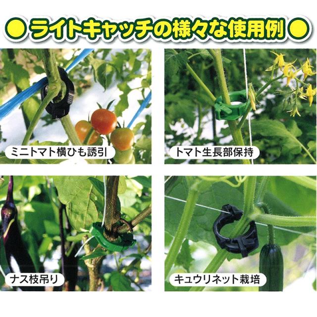 ミニトマト ライトキャッチ 黒 Lc B400 400個 10袋 シーム 茎と誘引紐を固定 ひも誘引用クリップ トマト ナス 果菜類 誘引具 簡単 軽量 タ種 送料の通販はau Pay マーケット 株式会社プラスワイズ Au Pay マ ライトキャ