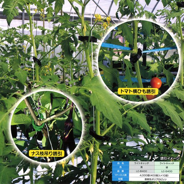 ミニトマト ライトキャッチ 黒 Lc B400 400個 10袋 シーム 茎と誘引紐を固定 ひも誘引用クリップ トマト ナス 果菜類 誘引具 簡単 軽量 タ種 送料の通販はau Pay マーケット 株式会社プラスワイズ Au Pay マ ライトキャ