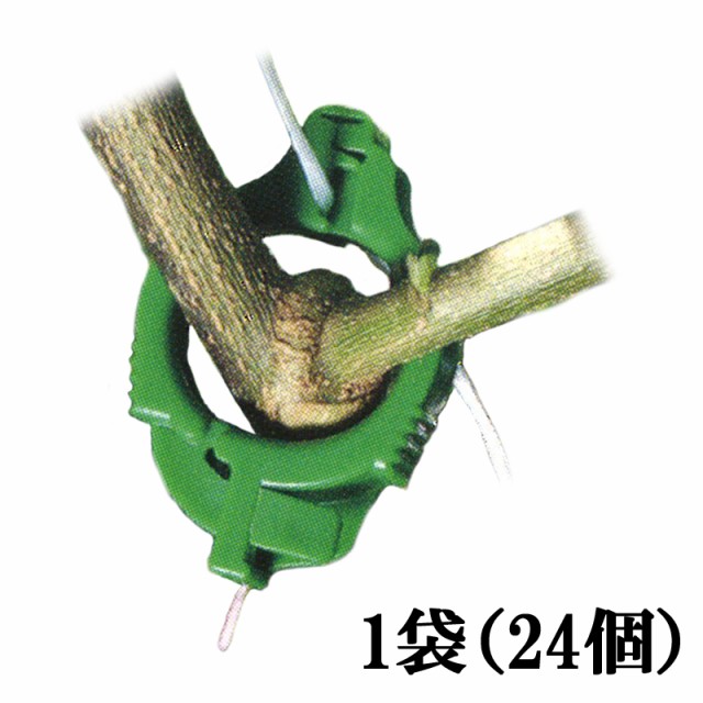 クリアランスバーゲン 期間限定開催 ライトキャッチ 緑 Lc G24 24個 90袋 シーム 茎と誘引紐を固定 ひも誘引用クリップ トマト ナス 果菜類 誘引具 簡単 軽量 タ種 送料無 現金特価 Www Espacioyconfort Com Ar クリアランスバーゲン 期間限定開催 ライトキャッチ 緑 Lc G24 24個 90袋 シーム 茎と誘引紐を固定 ひも誘引用クリップ トマト ナス 果菜類 誘引具 簡単 軽量 タ種 送料無 現金特価 Www Espacioyconfort Com Ar