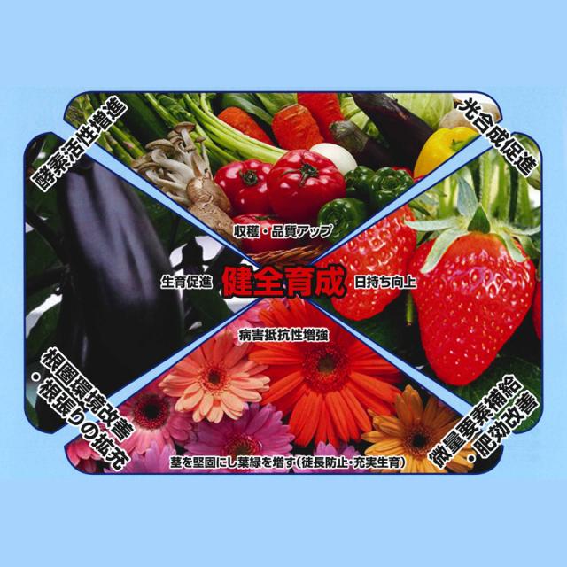 まとめ買い歓迎 高機能液肥 マルチケーミン リキッド 10l サカタのタネ サt 総合微量要素剤 肥料 農薬 培養 植物 根張り 促進 土壌 葉面散布 農 期間限定開催 Carlavista Com