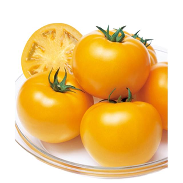 日本全国送料無料 種 大玉トマト 桃太郎ゴールド Ye004 16粒 3袋 タキイ種苗 春まき 種まき 播き 種子 野菜 畑 栽培 家庭菜園 品種 米s D メール便 格安即決