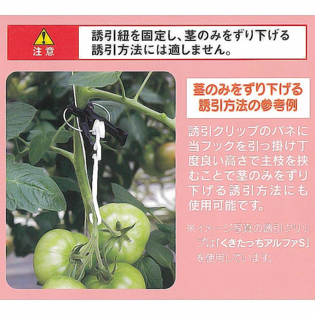 NEW低価 4,000個 (200個×20袋) 房吊りフック 紐用 FTH-W10 トマト シーム タ種 代引不可の通販はau PAY マーケット - 株式会社プラスワイズ au PAY マーケット店|商品ロットナンバー:462096733 通販最安値
