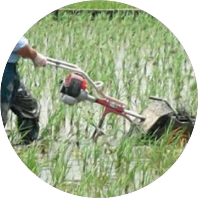 直売割引 個人宅配送不可 水田中耕除草機 3条 MJ35-Z ゼノア ミニカルチ 大竹製作所 田んぼ 中耕 除草 オK 代引不可 直売割引 個人宅配送不可 水田中耕除草機 3条 MJ35-Z ゼノア ミニカルチ 大竹製作所 田んぼ 中耕 除草 オK 代引不可