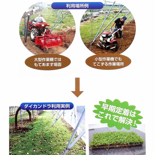 種 2kg ダイカンドラ コート種子 雑草対策 土壌保全 果樹草生 緑肥 播種期 4 7月 雪印種苗 米s 送料無料 代引不可の通販はau Wowma ワウマ 株式会社プラスワイズ Au Wowma 店 商品ロットナンバー