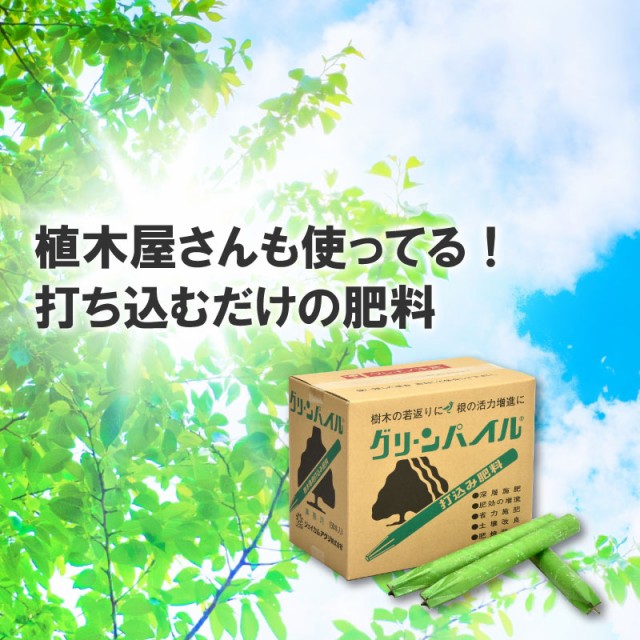 大決算売り尽くし グリーンパイル ラージ 50本入 業務用 打込み肥料 肥料 栄養 養分 活力剤 樹木 庭木 植木 果樹 園芸 ガーデニング 人気 おすすめ ジェイ 好評につき延長 Www Centrodeladultomayor Com Uy