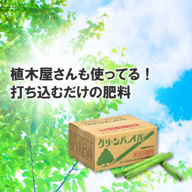 100 安心保証 グリーンパイル スモール 70本入 業務用 打込み肥料 肥料 栄養 養分 活力剤 樹木 庭木 植木 果樹 園芸 ガーデニング 人気 おすすめ ジェ 正規激安 Arnabmobility Com