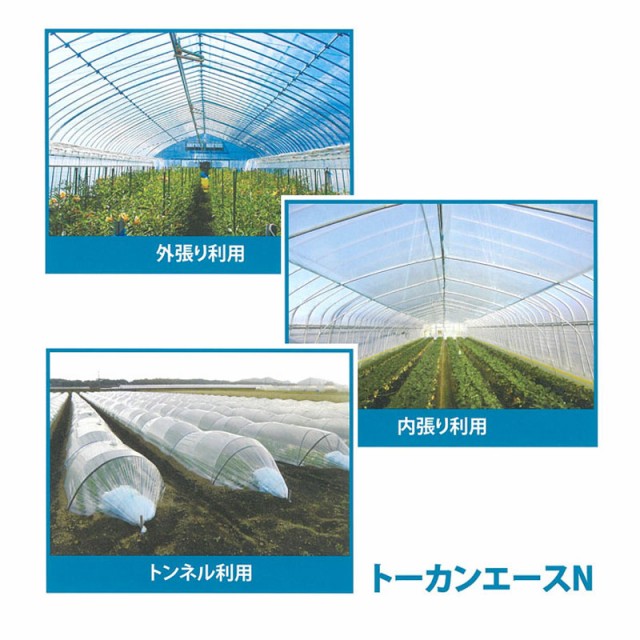 0.1mm厚 630cm幅 100m トーカンエースN 農PO 透明 観音巻 東罐興産 カ