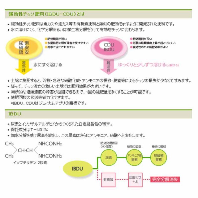 送料無料 個人宅配送 ゴルフターゲット 据置式gt No Gt 0 目合い 23mm 高耐久 ゴルフネット 国産 南e 送料無料 最新の激安 Ecgroup Intl Com