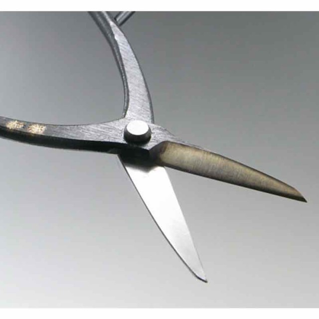 特価新品 代引不可 BONSAI Shears 日本製 カネシン 兼進の通販はau PAY マーケット - 株式会社プラスワイズ au PAY マーケット 盆栽道具 さつき鋏 No.601A ハサミ はさみ 盆栽 園芸 鉢植え ガーデニング お手入れ 定番NEW