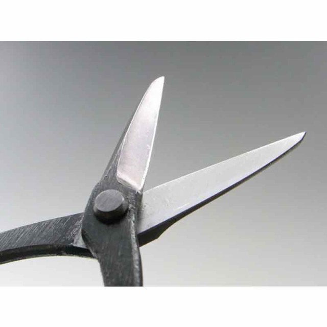 特価新品 代引不可 BONSAI Shears 日本製 カネシン 兼進の通販はau PAY マーケット - 株式会社プラスワイズ au PAY マーケット 盆栽道具 さつき鋏 No.601A ハサミ はさみ 盆栽 園芸 鉢植え ガーデニング お手入れ 定番NEW
