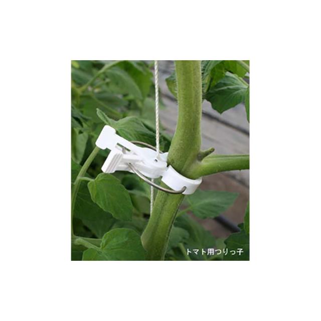 安心の日本製 600個 つりっ子トマト用 ナスニックス 茎と誘引紐を固定 栽培 誘引具 サt Dw 最安 Ffifinance Com
