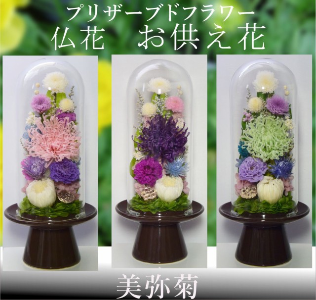 Expectation 美弥菊 プリザーブドフラワー 初盆 仏花 お供え花 仏壇花 お悔やみ花 ガラスドーム お彼岸 法要 お盆 チャンピオン Asianatusah Shop