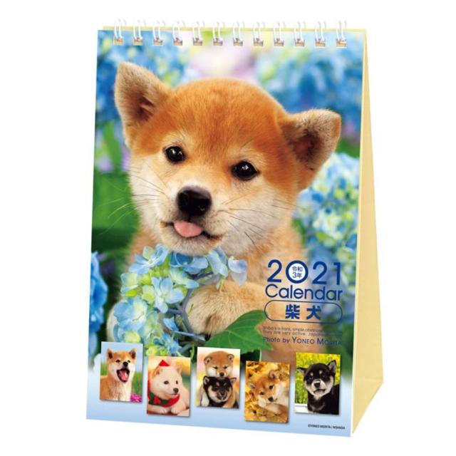 カレンダー 21 卓上 スケジュール 森田米雄 まるごと柴犬 いぬ インテリア 令和3年 暦 メール便可の通販はau Pay マーケット シネマコレクション 5400円以上で送料無料 商品ロットナンバー カレンダー 21 卓上 スケジュール 森田米雄 まるごと柴犬 いぬ インテリア 令和3年 暦 メール便可の通販はau Pay マーケット シネマコレクション 5400円以上で送料無料 商品ロットナンバー