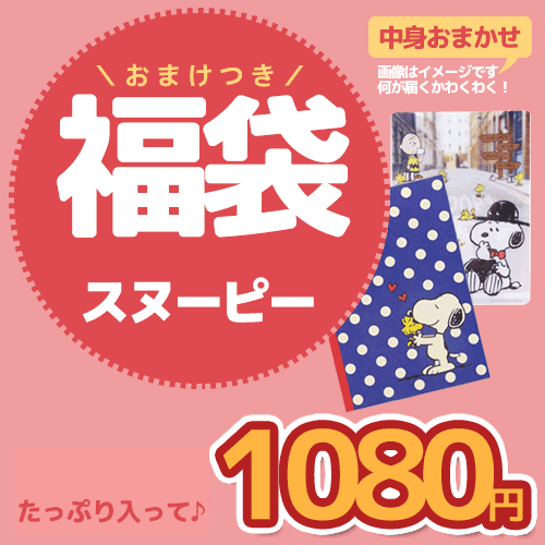 レビューでおまけ スヌーピー ミニ 福袋 おまけつき 文房具にかわいい雑貨 どっさりお得の通販はau Wowma ワウマ シネマコレクション 5400円以上で送料無料 商品ロットナンバー