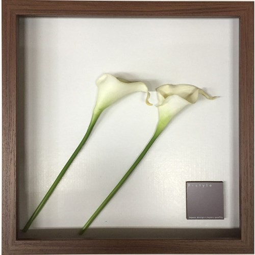 リーフアートフレーム カフェ F Style Frame Anthurium White アンスリウム 32 32 3 5cm 取寄品 送料無料の通販はau Pay マーケット シネマコレクション 5400円以上で送料無料 商品ロットナンバー