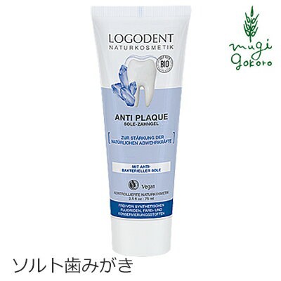 歯磨き粉 オーガニック ロゴナ Logona ソルトはみがき 75ml 正規品