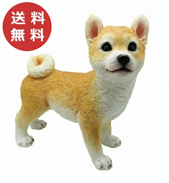 オープニング大放出セール チアフルフレンズ 豆柴のコロ マメシバ 犬 いぬ イヌ Dog ドッグ ドック 置物 小物 オブジェ ガーデンオーナメント ガーデン 置物 オー 超激安 Www Iacymperu Org