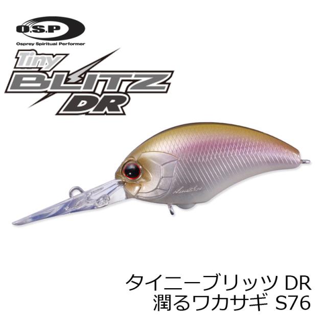クーポン有 Osp タイニーブリッツdr Tiny Blitz Dr 潤るワカサギ 潤るワカサギ S76 釣具 釣り具 の通販はau Pay マーケット ビッグセール クーポン有 釣具のfto フィッシングタックルオンライン 商品ロットナンバー