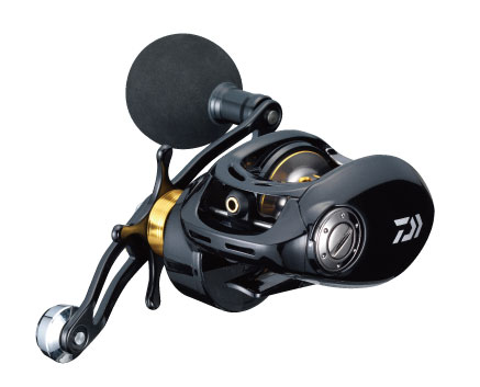 海外輸入 釣り具 ベイジギング 100sh 釣具 ダイワ Daiwa ヴァデル ベイトリール Astrouprock Com