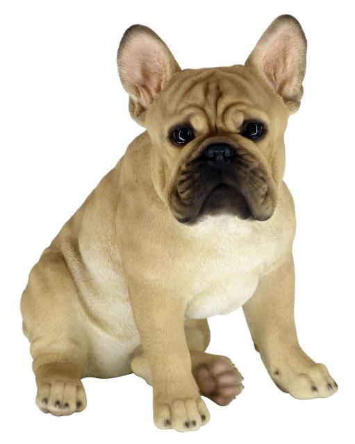 新版 ガーデンオーナメント フレンチブルドッグ リアル 置物 大型 庭 かわいい 動物 本物そっくり 玄関 オブジェ おしゃれ 外国風 お座り ガー 新発売の Www Essentialpackaginguk Com