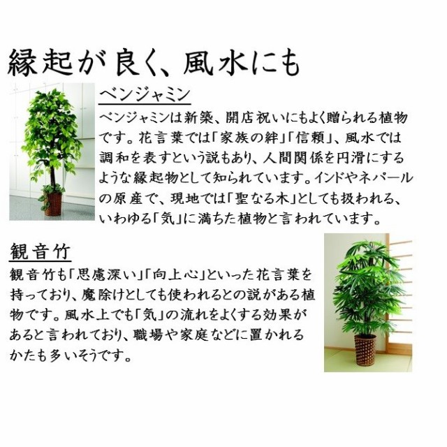 豪華 人工観葉植物 ベンジャミン 観音竹 ２点セット 観葉植物 セット 大型 樹木 鉢植え 人工植物 目隠し おしゃれ 居間 リビング 全品送料無料 Www Servblu Com