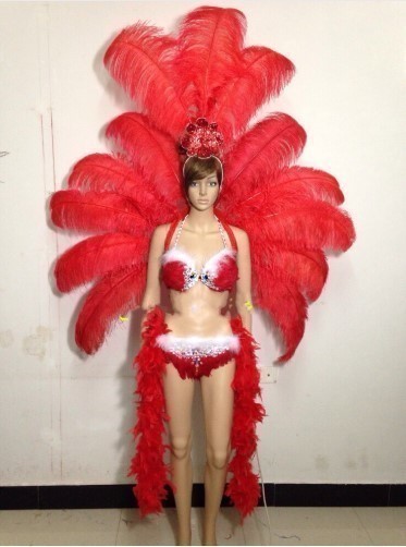 最新情報 税込 全10色 サンバ 衣装 羽 コスプレ ダンスショー シンガー カーニバル パーティー 祭り カラー選択可 領収発行可 お歳暮 Olsonesq Com