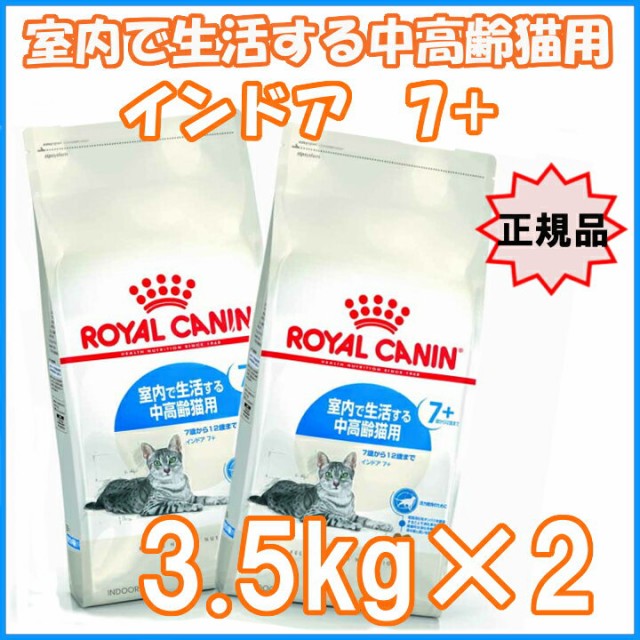 ロイヤルカナン キトン 猫用 10kg (猫・キャット) - キャットフード