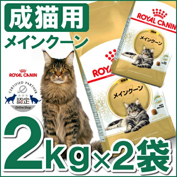 ロイヤルカナン 猫用 ねこ ネコ ドライ Fbn メインクーン 2kg 2個セット 成猫用 正規品 猫 フード キャットフード