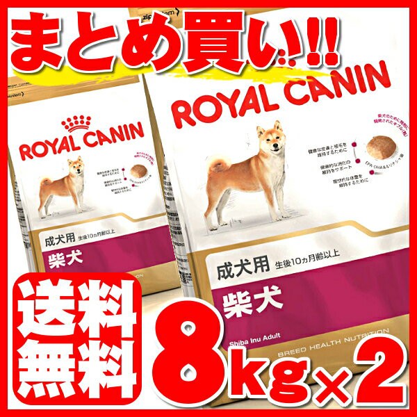 正規登録店 ロイヤルカナン柴犬 成犬高齢犬用 生後10ヵ月齢以上8キロ