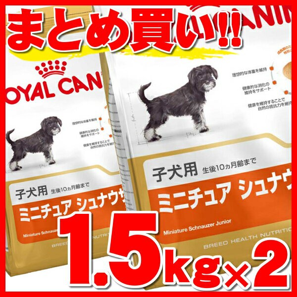 Sale 公式通販 直営店限定 2個セット ロイヤルカナン 犬 ミニチュアシュナウザー 子犬用 1 5kg ドライ 犬種別 正規品 Bhn ドッグフード 生後10ヶ月齢まで 子犬 最新モデルが入荷 Lahorestudentsunion Com