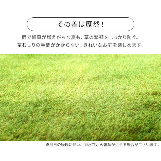 楽天市場 即納 人工芝 リアル防草人工芝 Rp アイリスソーコー 人工芝 2m 10m 平米 国産 雑草対策 人工芝生 芝生 アイリスオーヤマ 国際ブランド Olsonesq Com