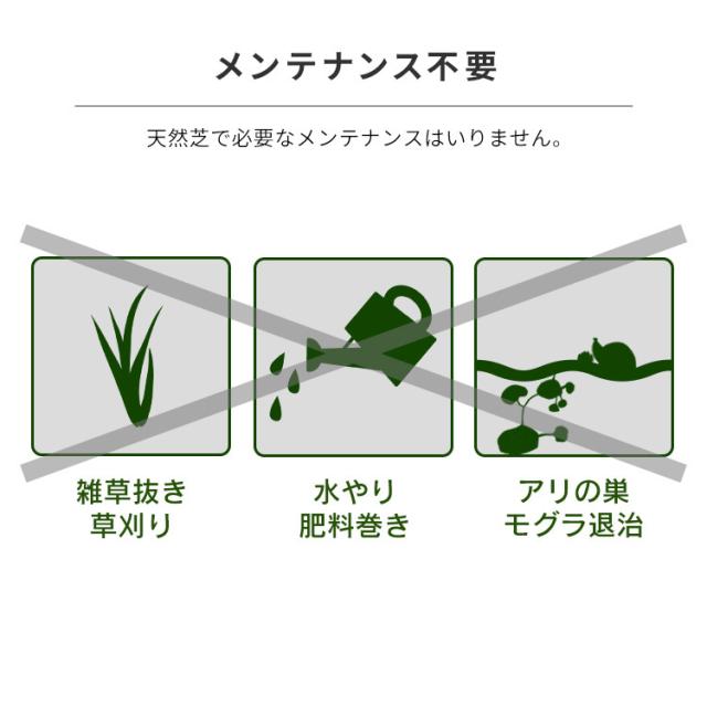 楽天市場 即納 人工芝 リアル防草人工芝 Rp アイリスソーコー 人工芝 2m 10m 平米 国産 雑草対策 人工芝生 芝生 アイリスオーヤマ 国際ブランド Olsonesq Com