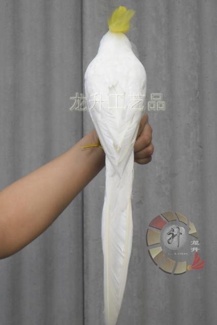 時間指定不可 新品 リアルな鳥の人形 キバタン オウム ドール ぬいぐるみ 43cm 鳥 バード 置物 オブジェ かわいい 本物の鳥の羽 白い鳥 鳥好きの方にも 送料無料 Www Centrodeladultomayor Com Uy