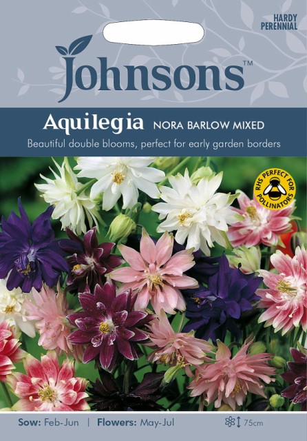 輸入種子 Johnsons Seeds Aquilegia Nora Barlow Mixed アクレイジア オダマキ ノーラ バロウ ミックス ジョンソンズシードの通販はau Wowma ワウマ Gardener S Shop Ivy 商品ロットナンバー