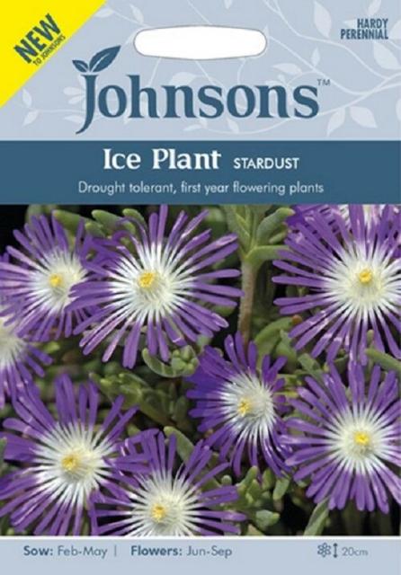 輸入種子 Johnsons Seeds Ice Plant Stardust アイスプラント スターダスト ジョンソンズシードの通販はau Wowma ワウマ Gardener S Shop Ivy 商品ロットナンバー