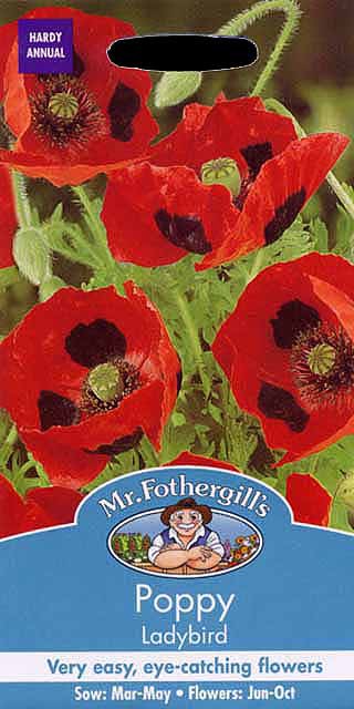 輸入種子 Mr Fothergills Seeds Papaver Rhoeas Poppy Ladybird ポピー レディ バード ミスター フォザーギルズシードの通販はau Pay マーケット Gardener S Shop Ivy 商品ロットナンバー