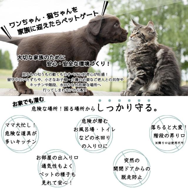 コンビニ受取対応商品 ペットゲート イーブンフロー 81cm ナチュラルウッド ウォークスルー ゲート 中型犬 大型犬 Evenflo 21正規激安 Centroprofesorjuanbosch Com